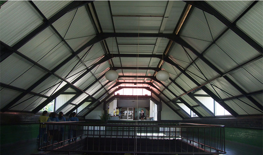 SSCCK-5